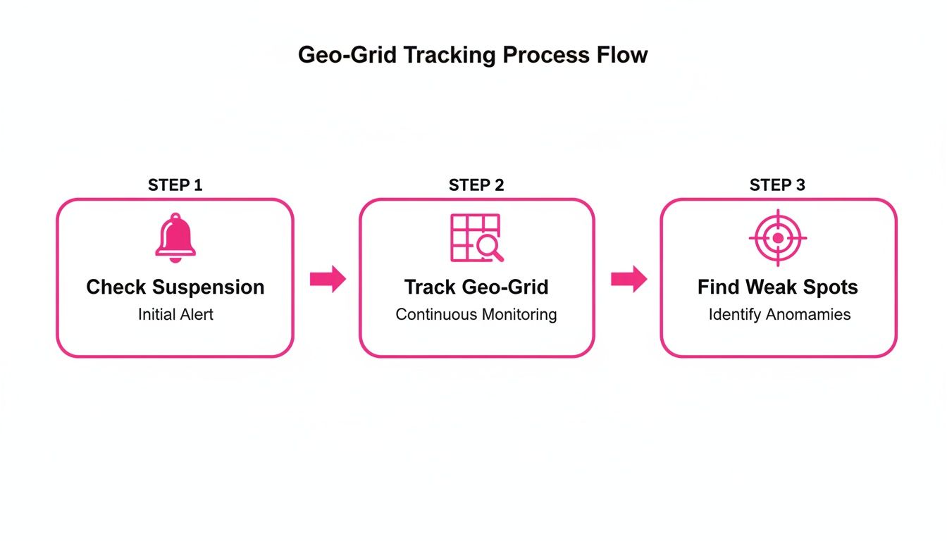 Process flow diagram illustrating Geo-Grid tracking, including initial alerts, continuous monitoring, and anomaly identification.