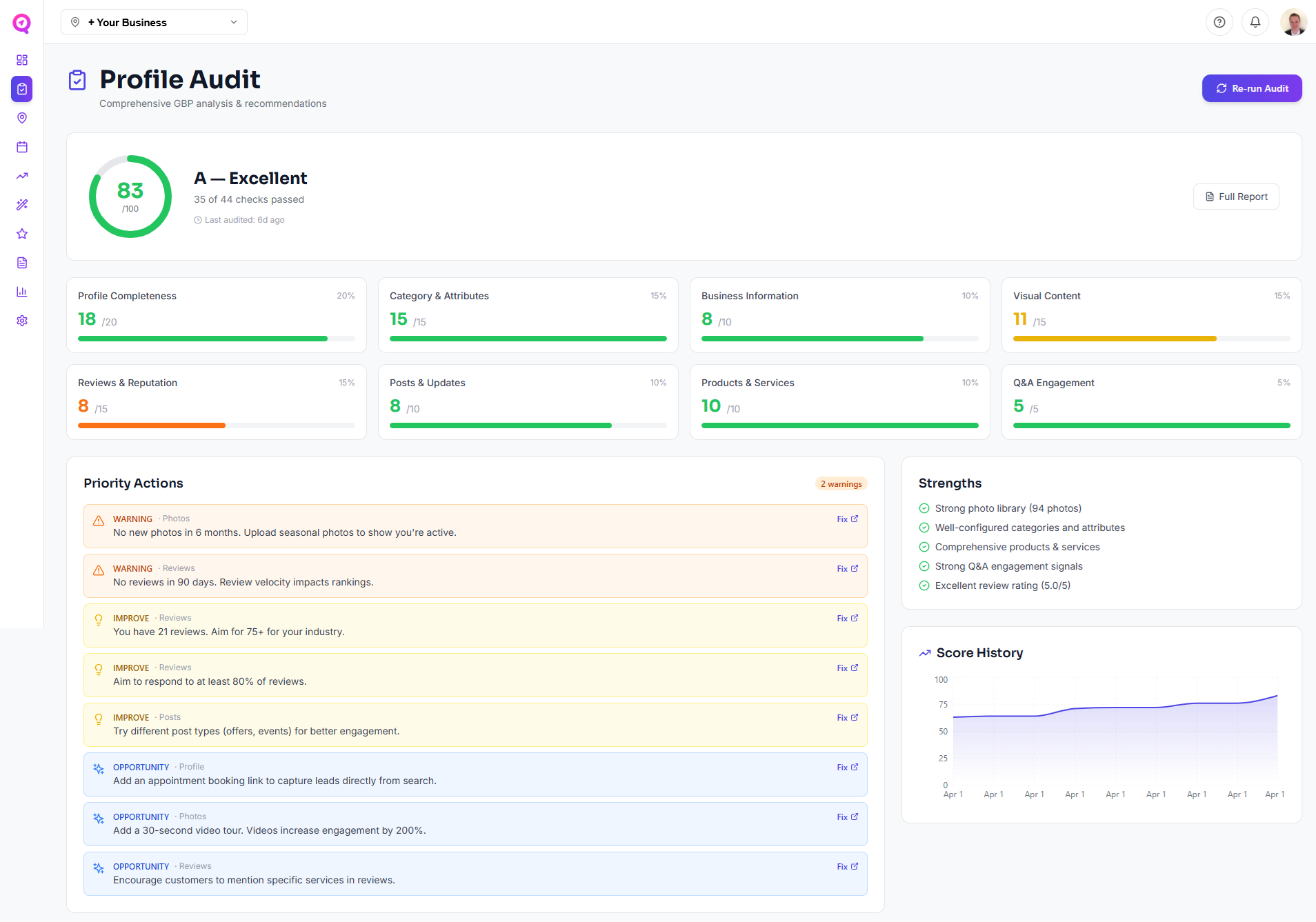 Google Business Profile (GBP) Audit Tool & Software